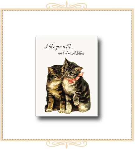 I Like You and I'm Not Kitten Greeting Card 4.25" x 5.5" (CA2-INK)