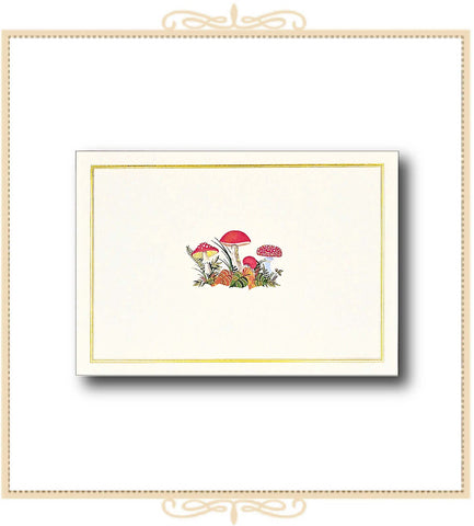 Mushroom Note Cards