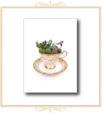 Succulent Garden in a Teacup Greeting Card (QM46)