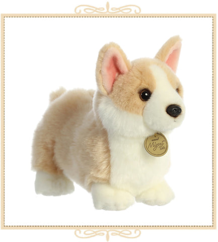 Pembroke Welsh Corgi Pup