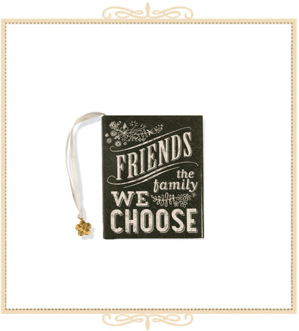 Friends: The Family We Choose Mini Book
