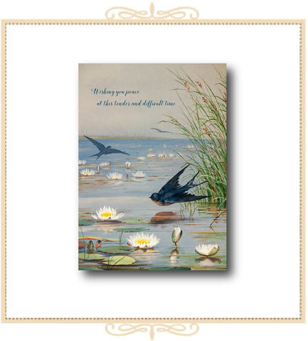 Wishing You Peace At This Tender And Difficult Time SYMPATHY Greeting Card 5" x 7" (C-WYP)