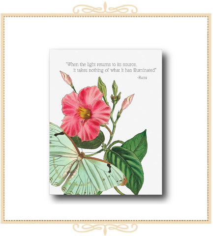 When the Light Returns to Its Source GREETING CARD 4.25" x 5.5" (CA2WTL)