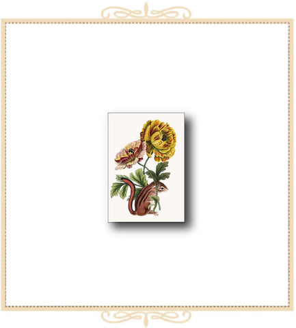 Chipmunk with Flower Mini Enclosure Card 2.5" x 3.5" (MI-CHIP)
