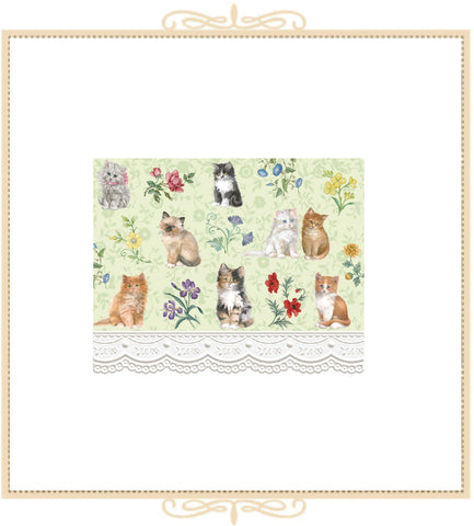Kittens Note Cards