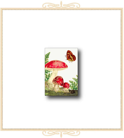 Mushrooms Mini Enclosure Card 2.5" x 3.5" (MI-MUSH)