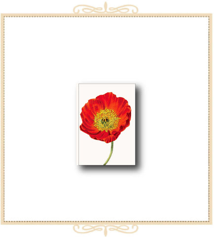 Red Poppy Mini Enclosure Card 2.5" x 3.5" (MI-RP)