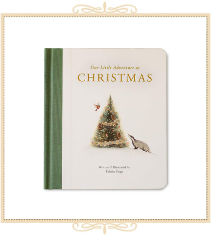 Our Little Adventure at Christmas Book