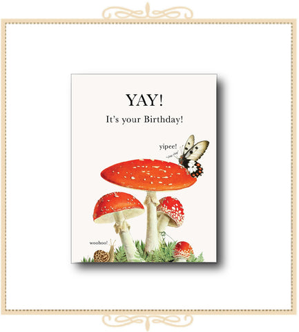 Yay, It's Your Birthday! BIRTHDAY CARD 4.25" x 5.5" (CA2-YIY)