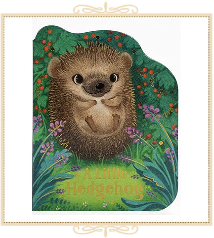 A Little Hedgehog Board Book