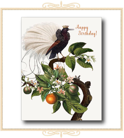 Happy Birthday (Bird of Paradise) Greeting Card 5 x 7