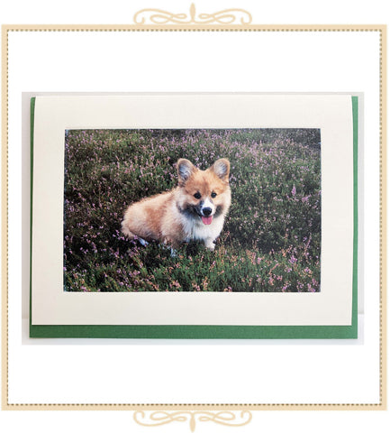 Corgi Puppy Greeting Card (QM15)