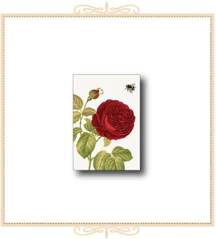 Red Rose with Bee Mini Enclosure Card 2.5" x 3.5" (MI-RRO)